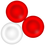 Diagnose Leukämie Logo
